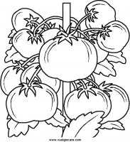 disegni_da_colorare_natura/frutta_frutti/frutta (5).JPG